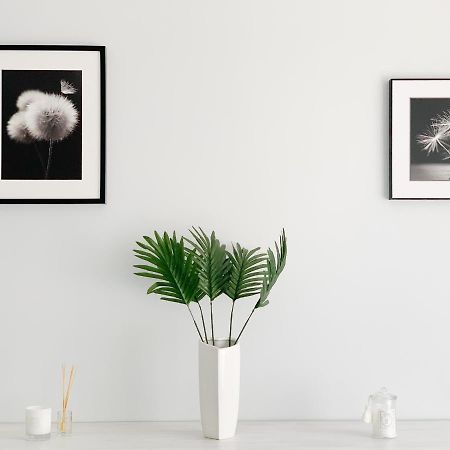 Apartament Chyba Śnisz Łańcut Zewnętrze zdjęcie