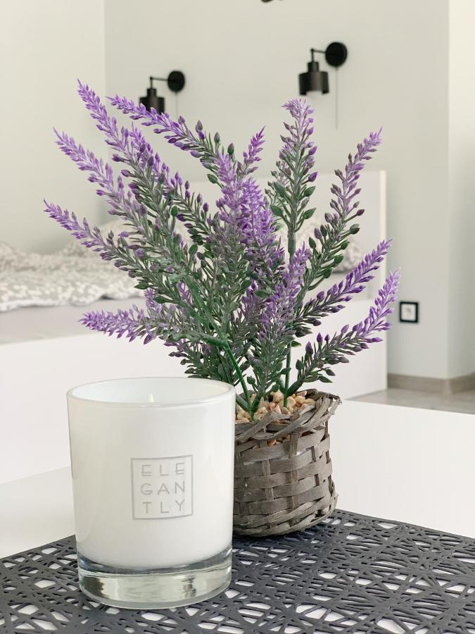 Apartament Chyba Śnisz Łańcut Zewnętrze zdjęcie