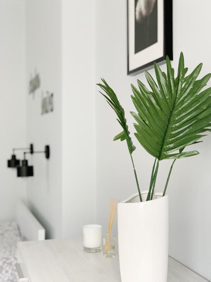 Apartament Chyba Śnisz Łańcut Zewnętrze zdjęcie